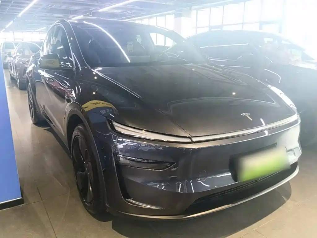 Tesla Model Y — фото 4
