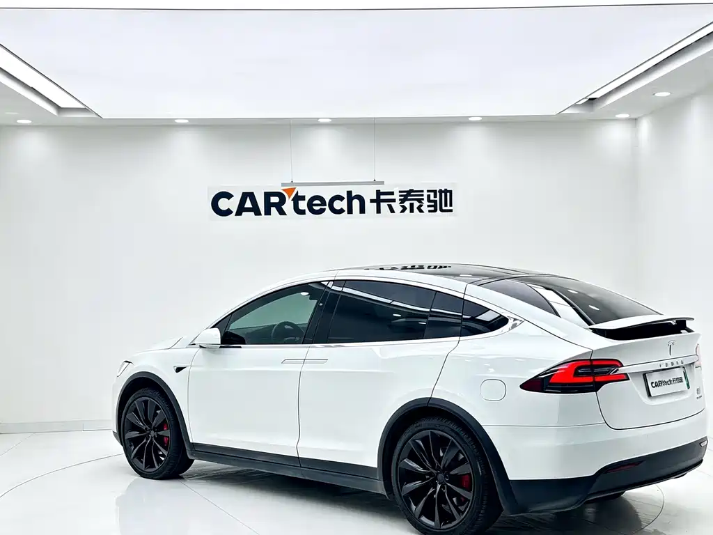 Tesla Model X — фото 8