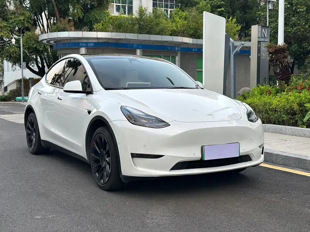 Tesla Model Y — фото 3