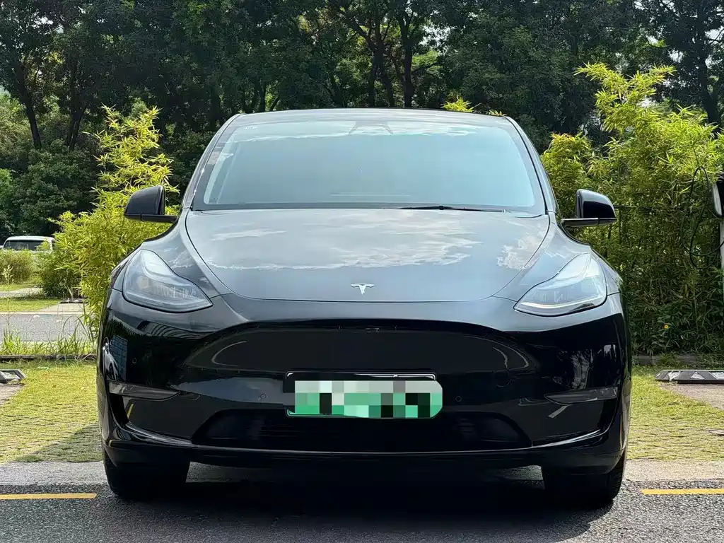 Tesla Model Y — фото 2