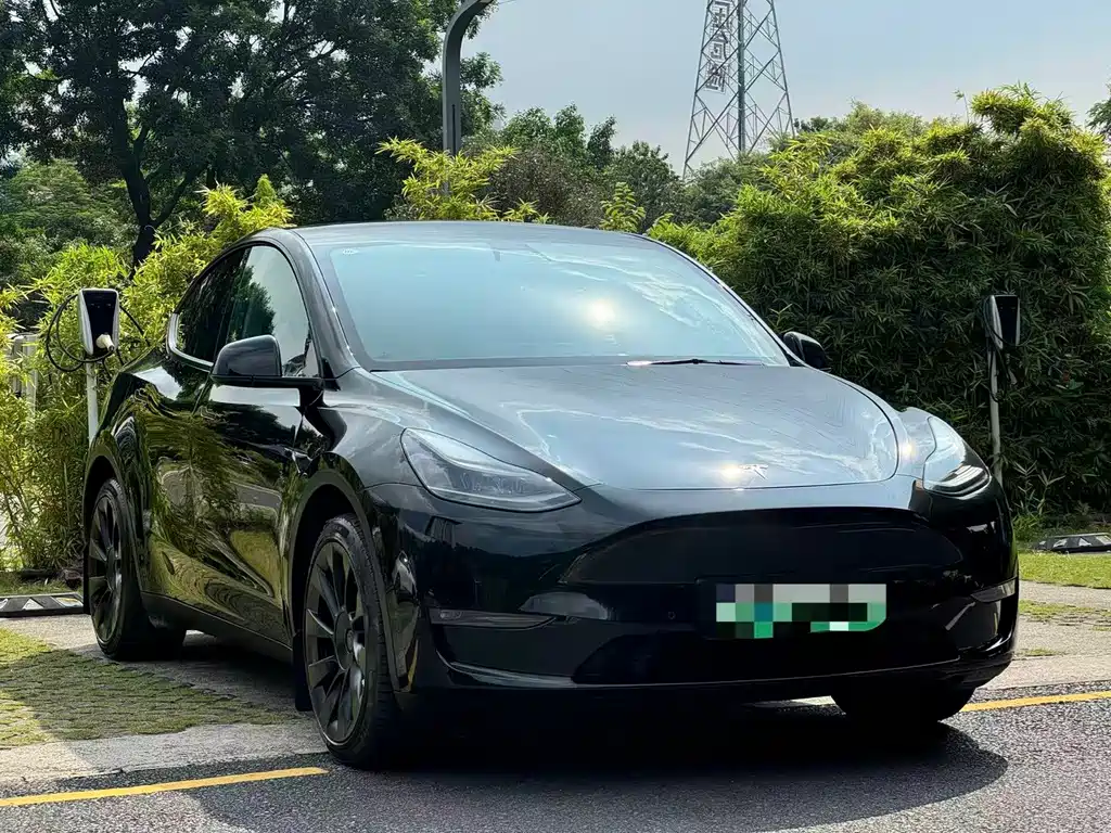 Tesla Model Y — фото 3