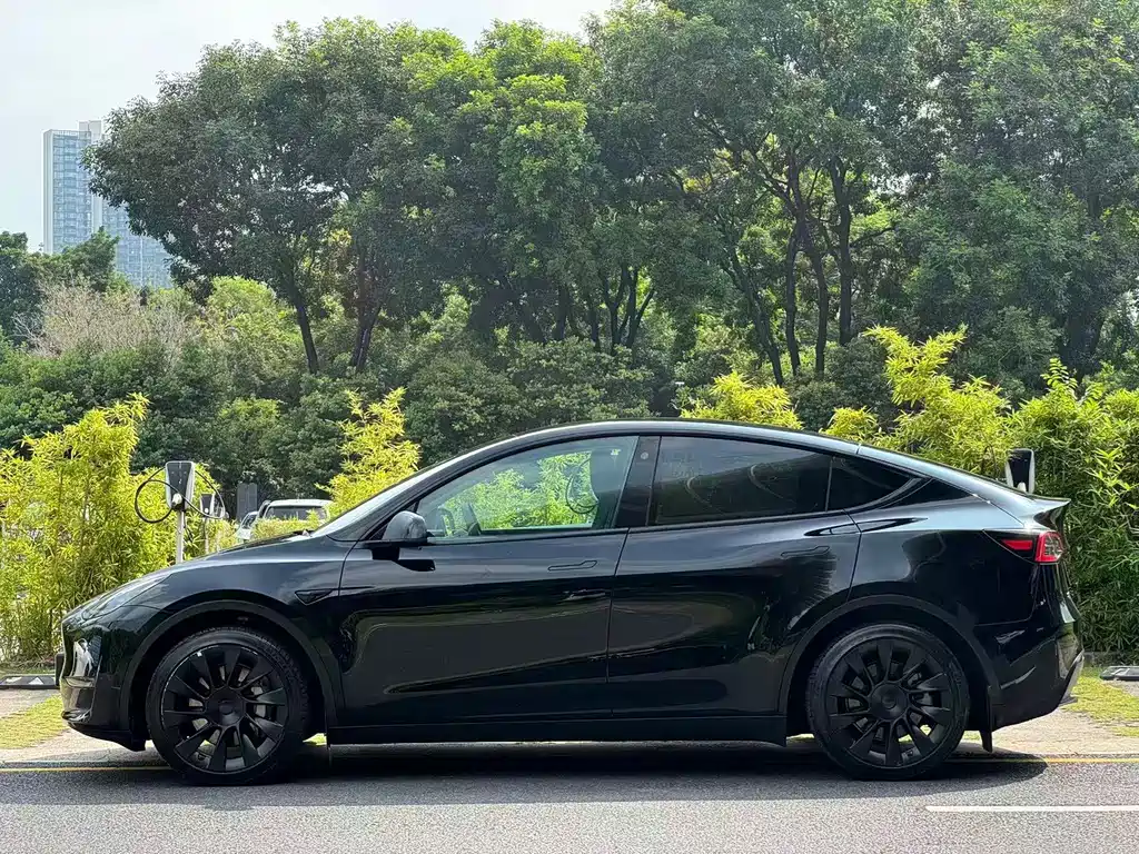 Tesla Model Y — фото 4