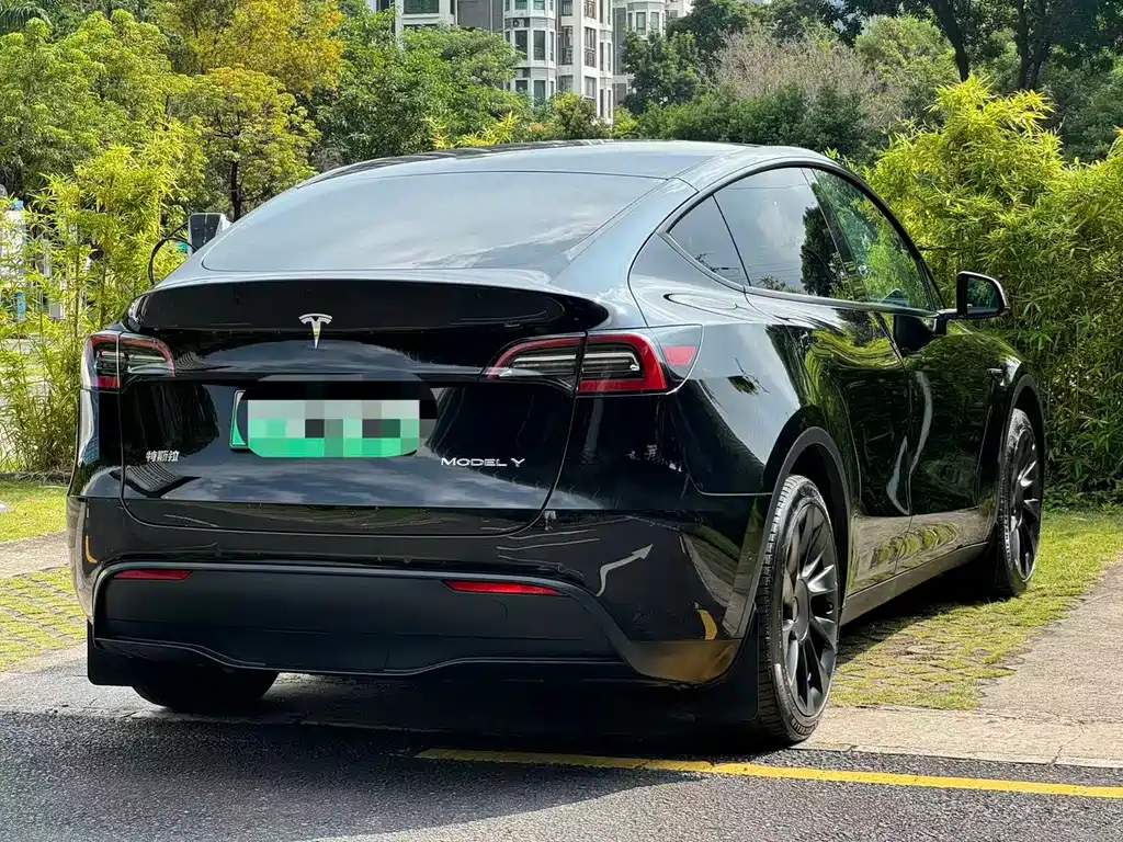 Tesla Model Y — фото 9
