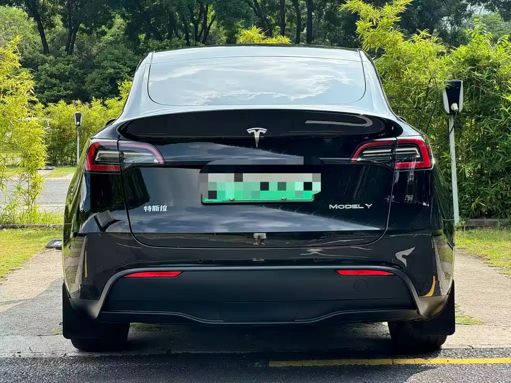 Tesla Model Y — фото 10