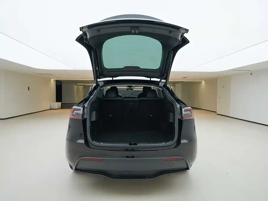 Tesla Model Y — фото 5