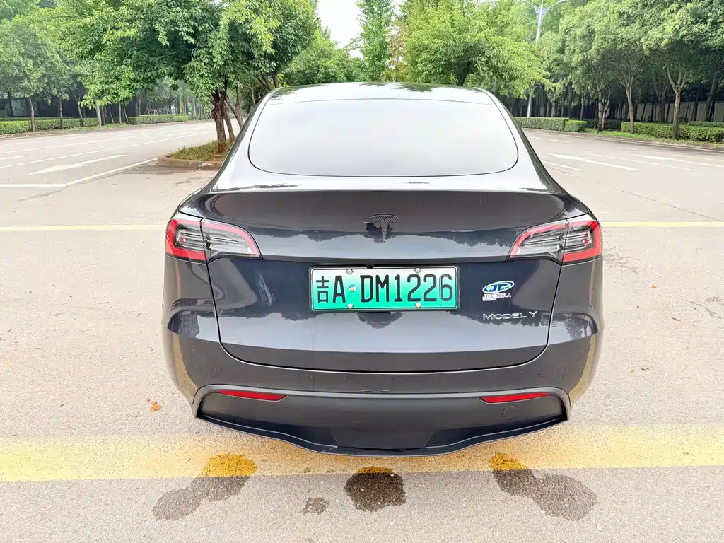 Tesla Model Y — фото 9