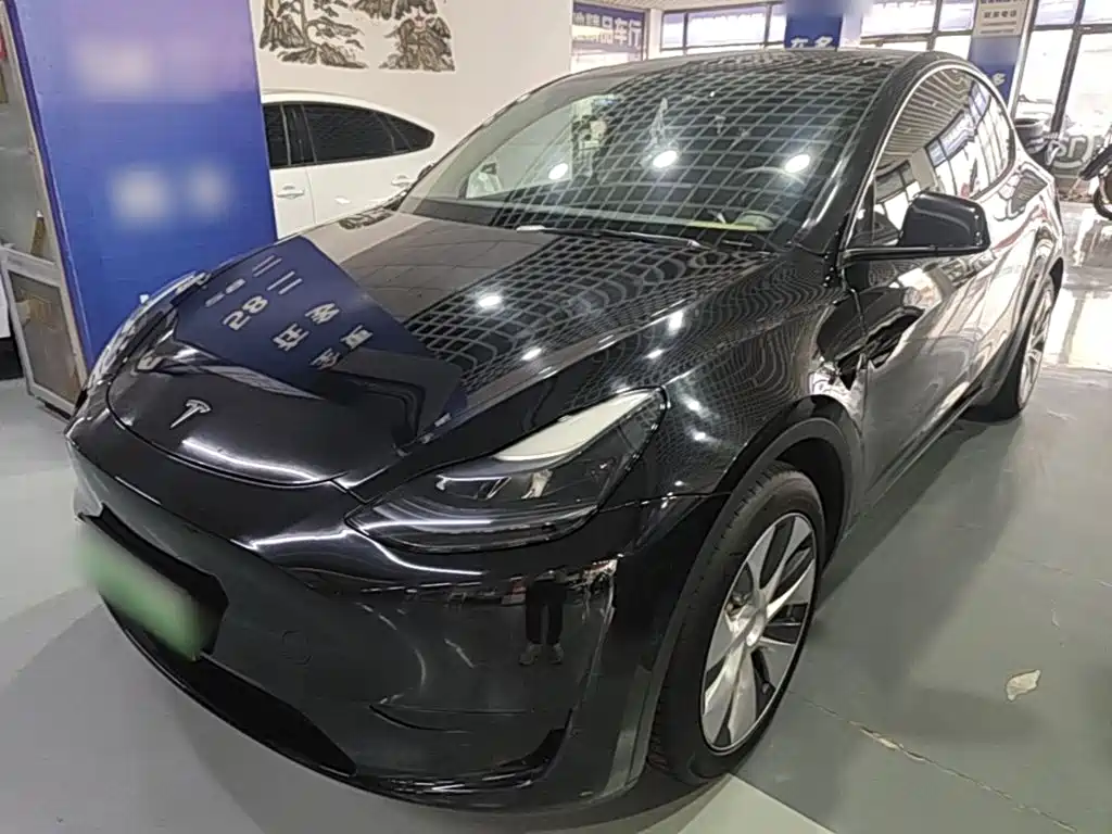 Tesla Model Y — фото 2