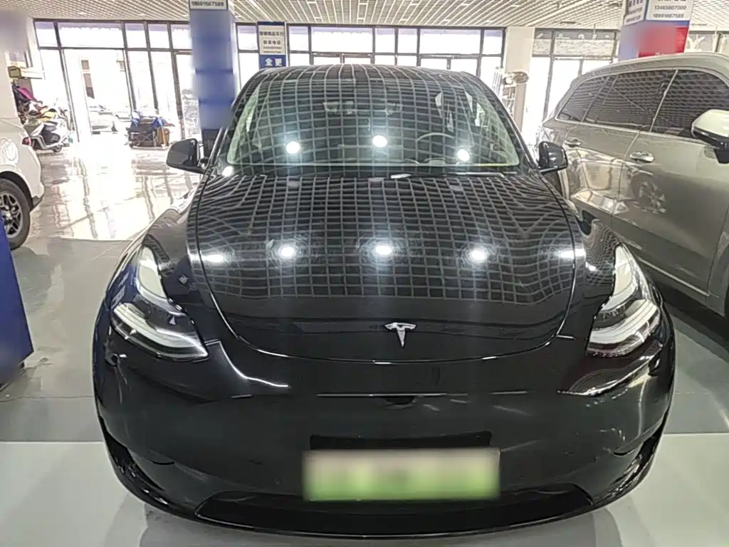 Tesla Model Y — фото 3
