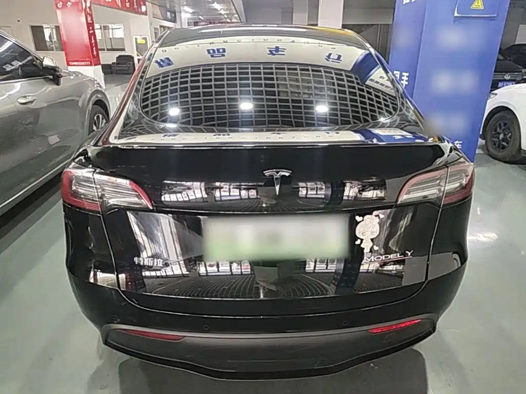 Tesla Model Y — фото 6