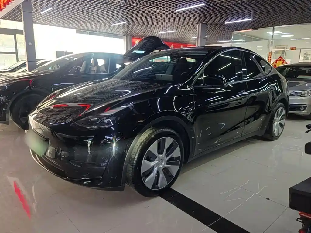 Tesla Model Y — фото 2