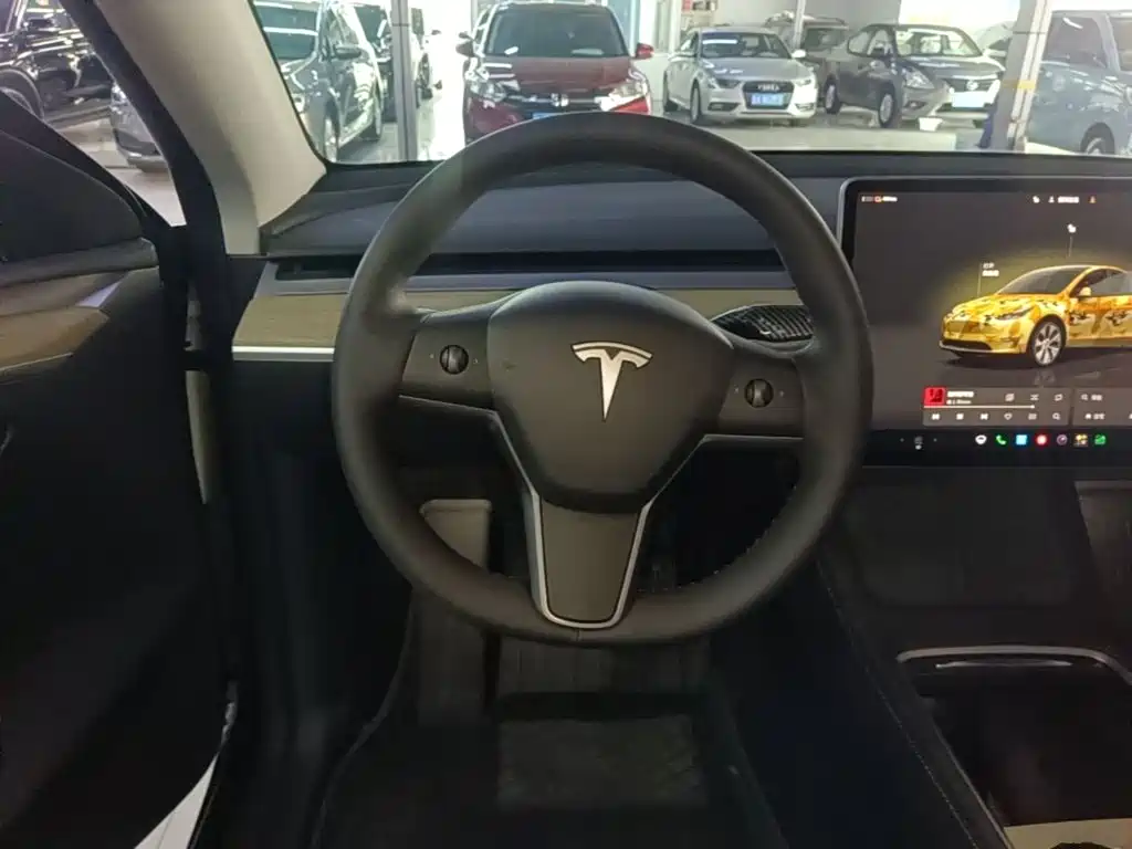 Tesla Model Y — фото 11