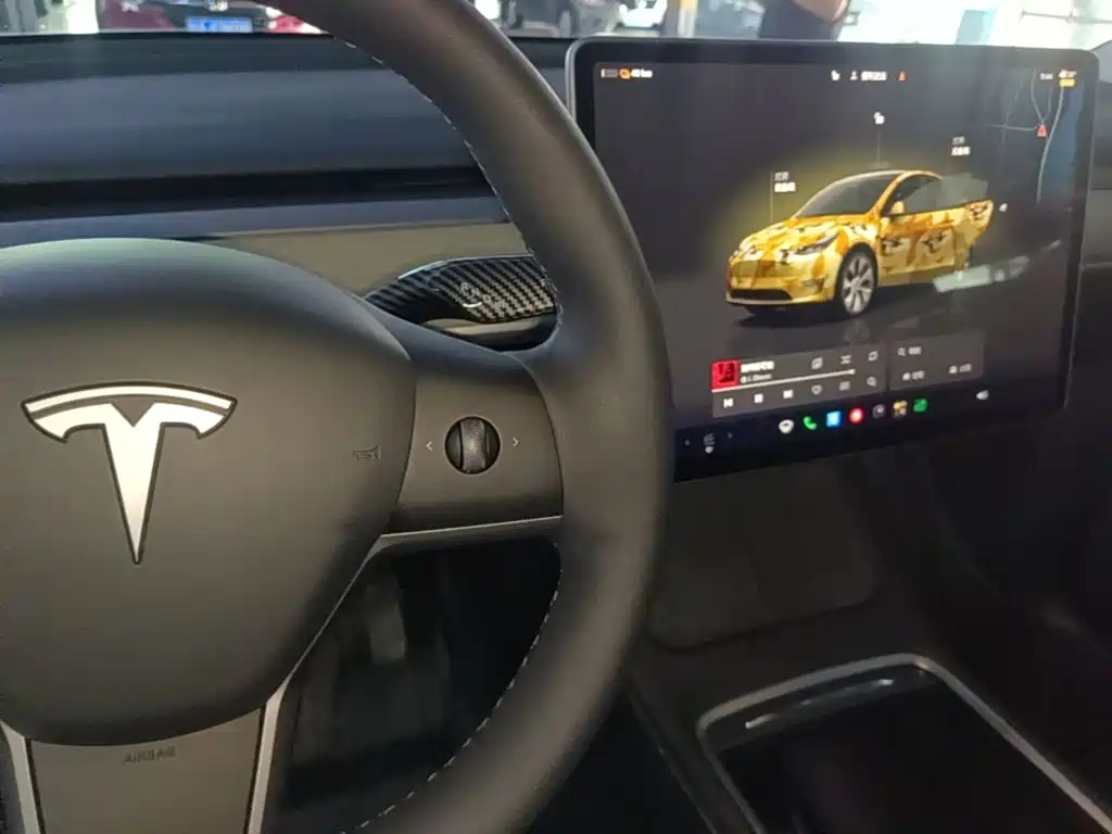 Tesla Model Y — фото 14