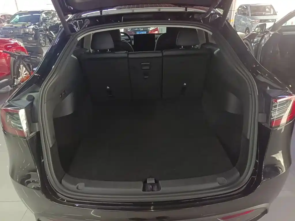 Tesla Model Y — фото 19