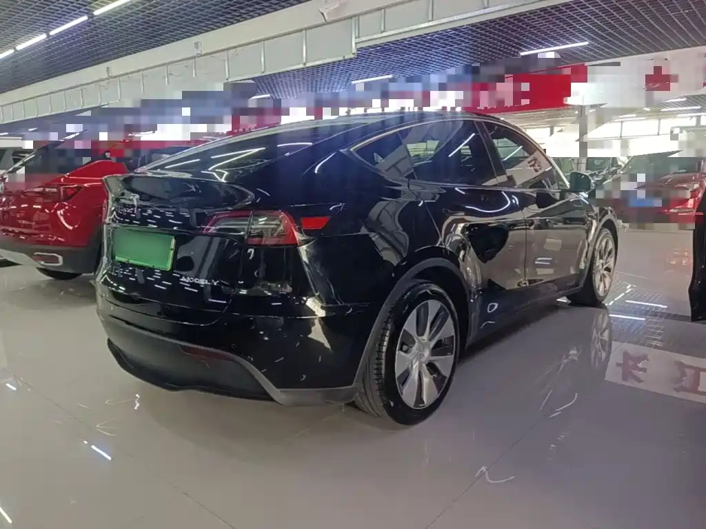 Tesla Model Y — фото 7