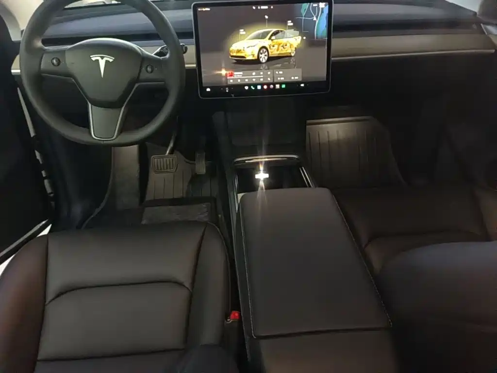 Tesla Model Y — фото 10