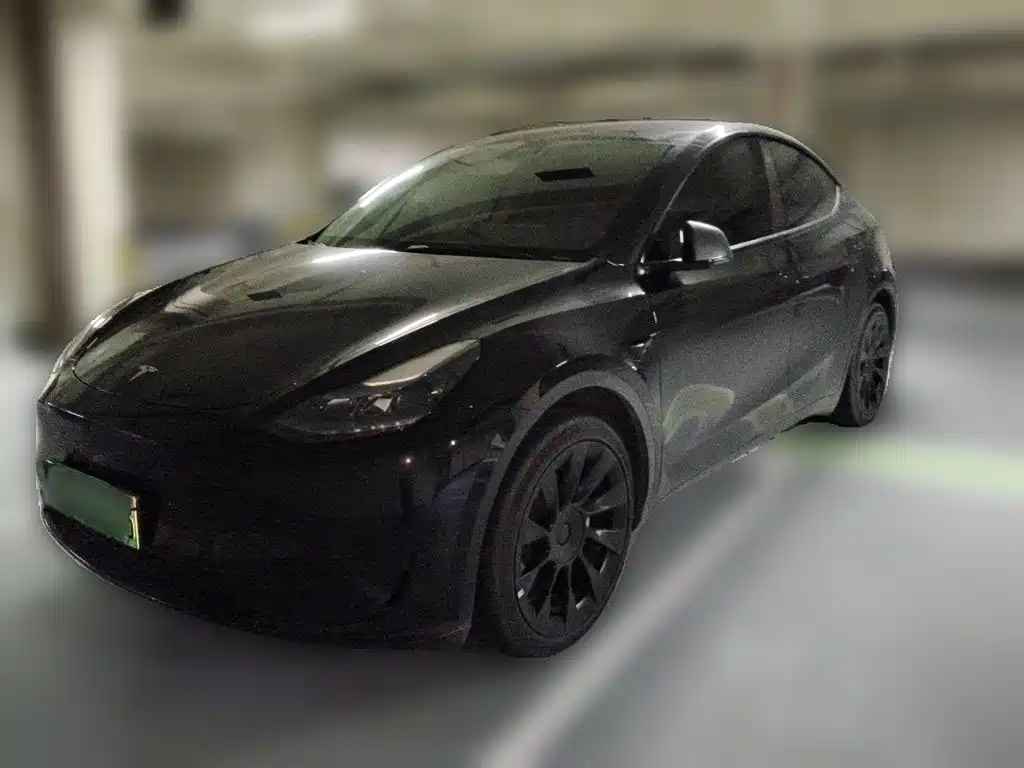 Tesla Model Y — фото 2