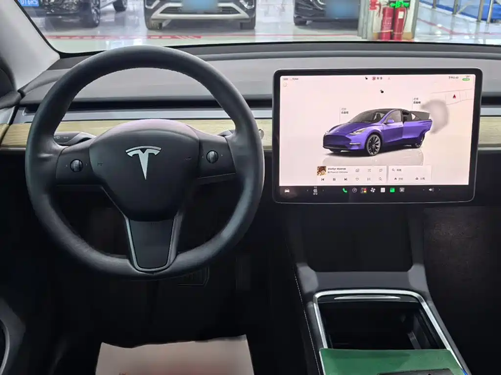 Tesla Model Y — фото 23