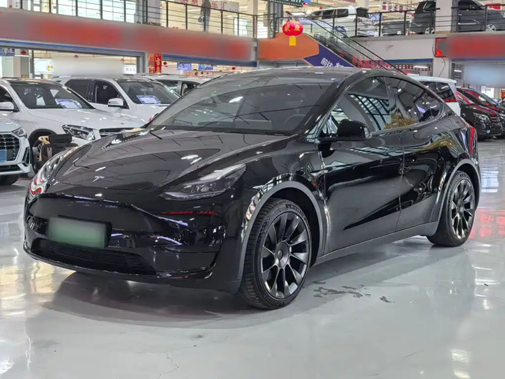 Tesla Model Y — фото 25