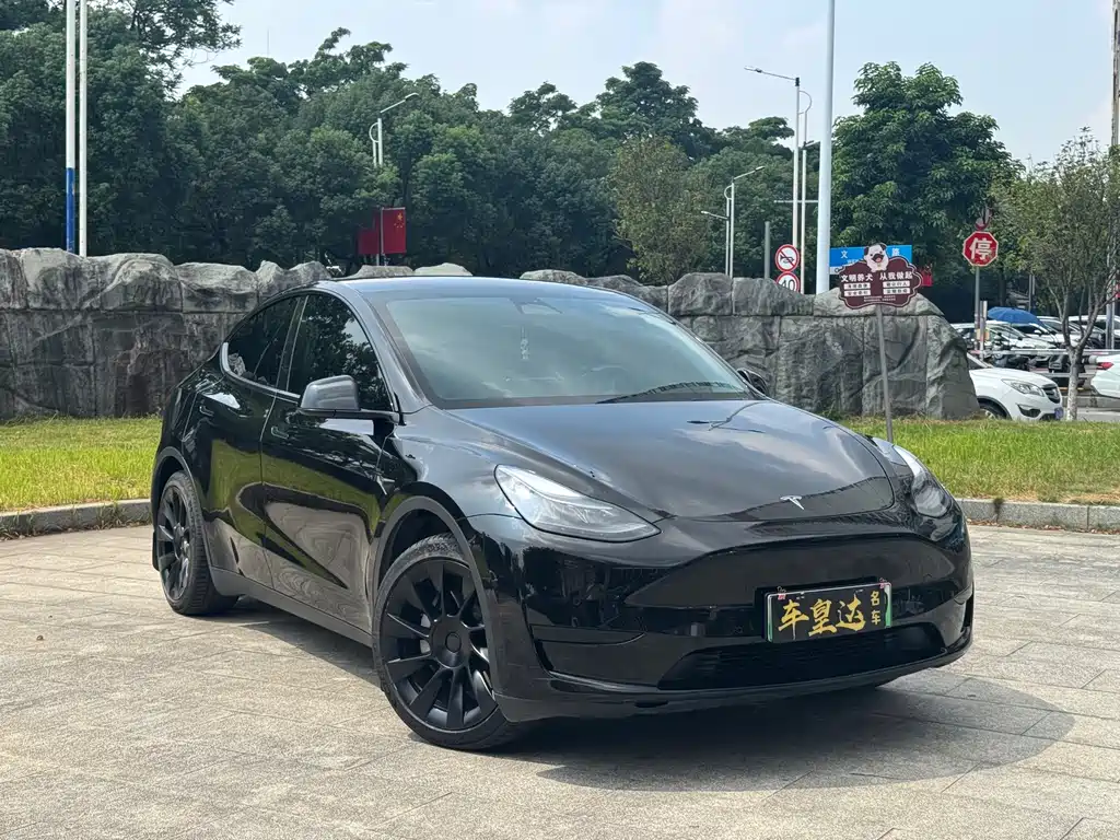 Tesla Model Y — фото 3