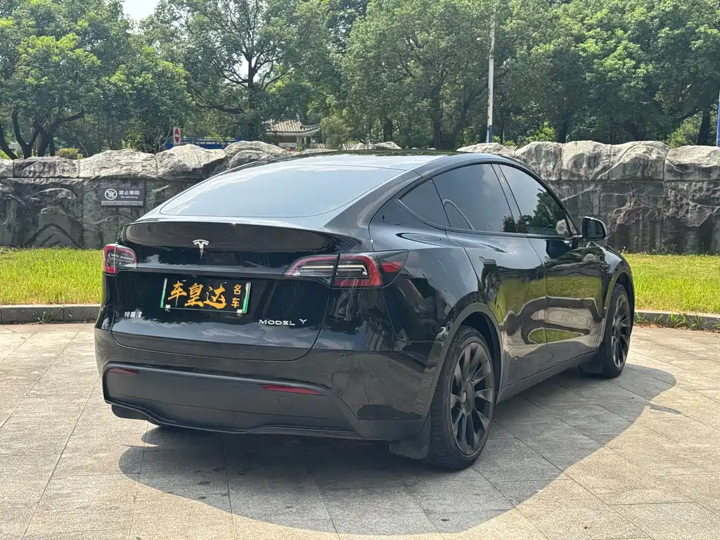Tesla Model Y — фото 6