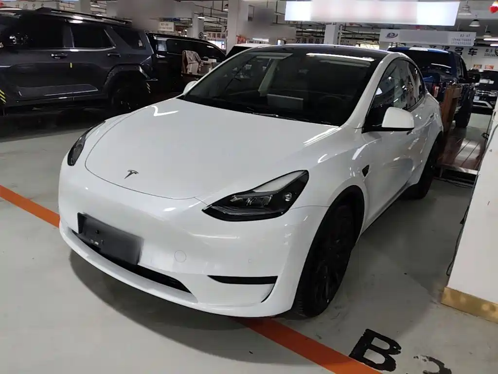 Tesla Model Y — фото 2