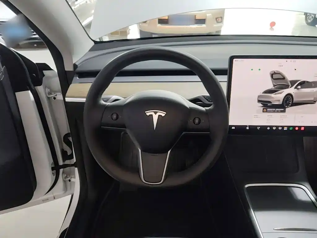Tesla Model Y — фото 11