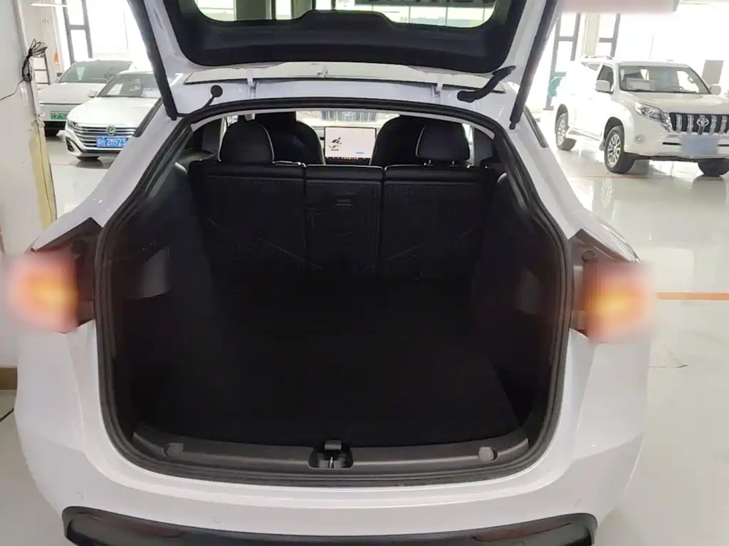Tesla Model Y — фото 19