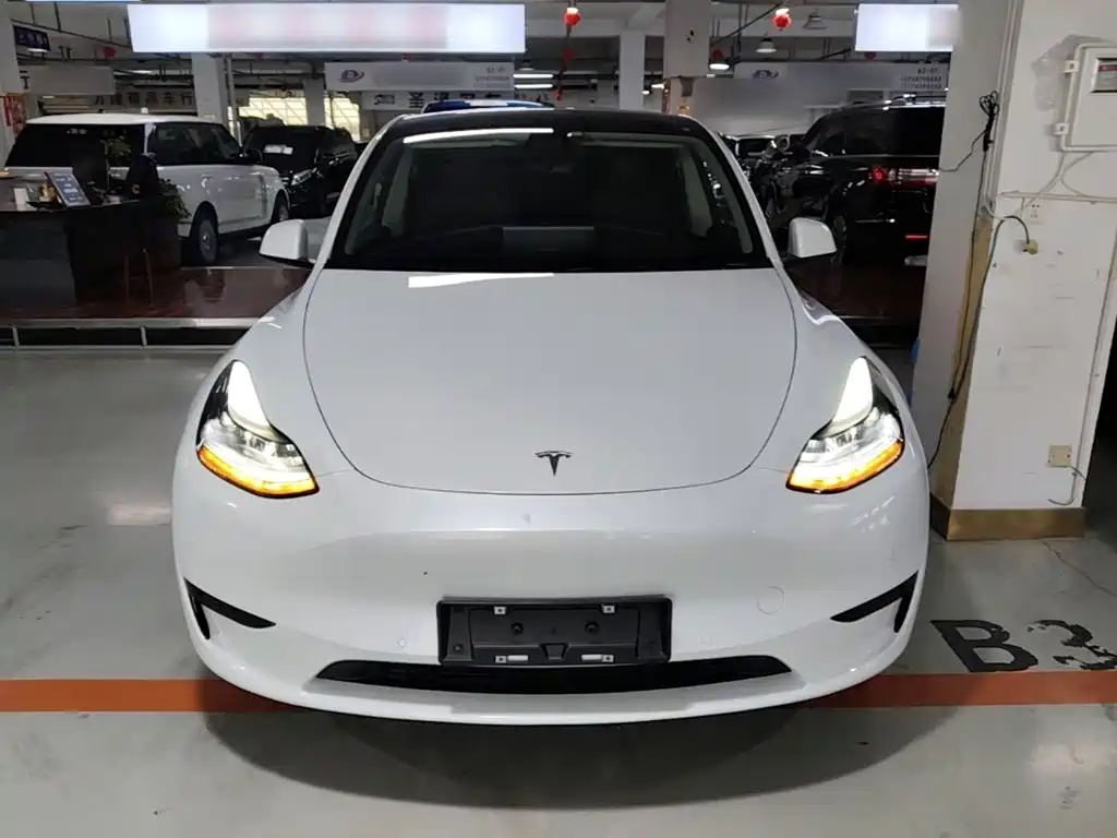 Tesla Model Y — фото 3