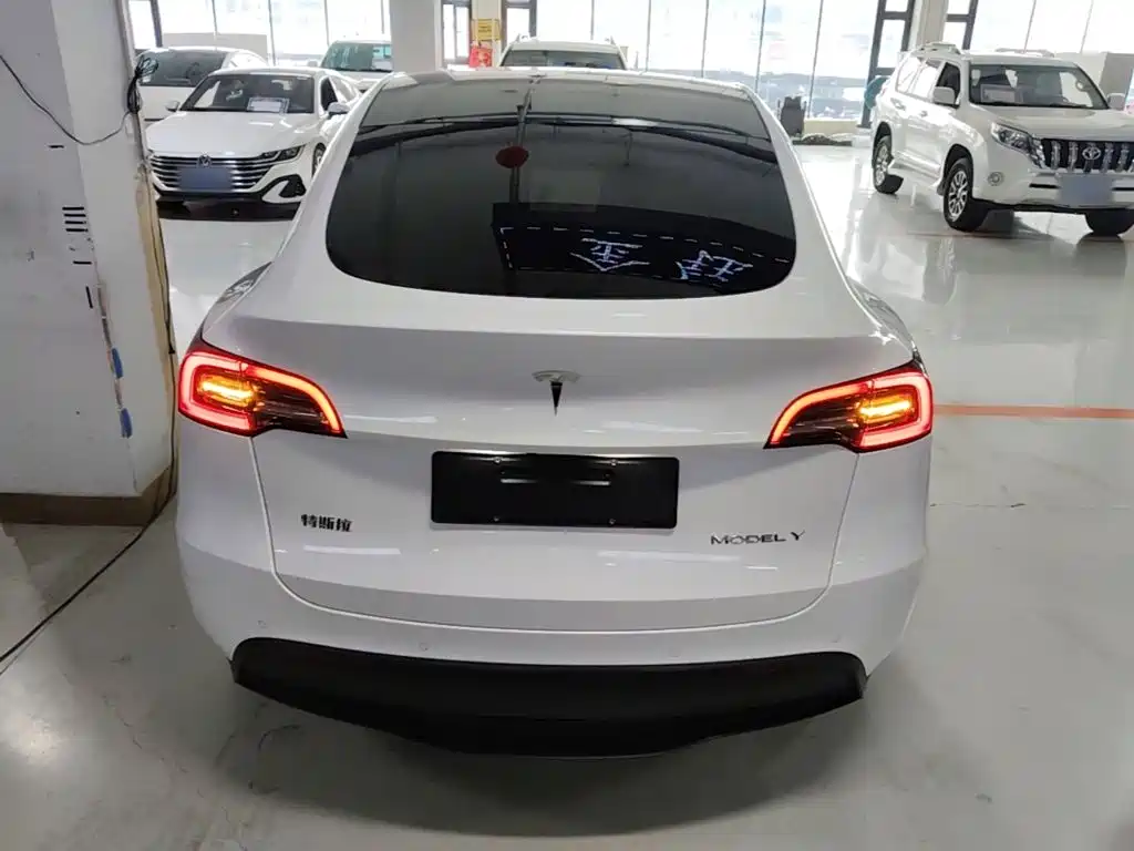 Tesla Model Y — фото 6