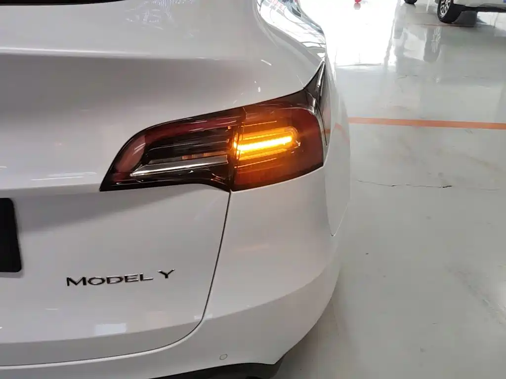 Tesla Model Y — фото 8