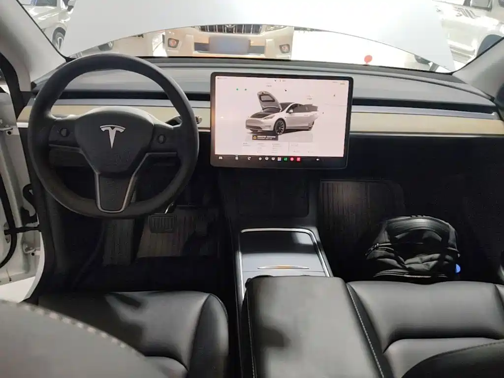 Tesla Model Y — фото 10