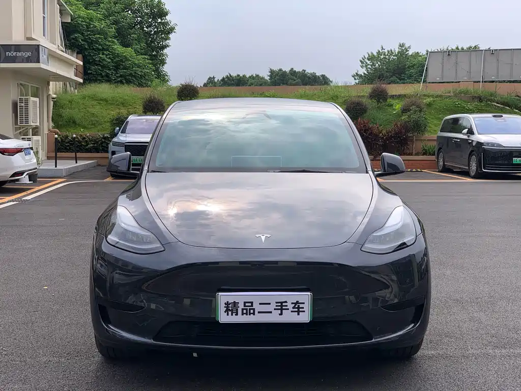 Tesla Model Y — фото 2