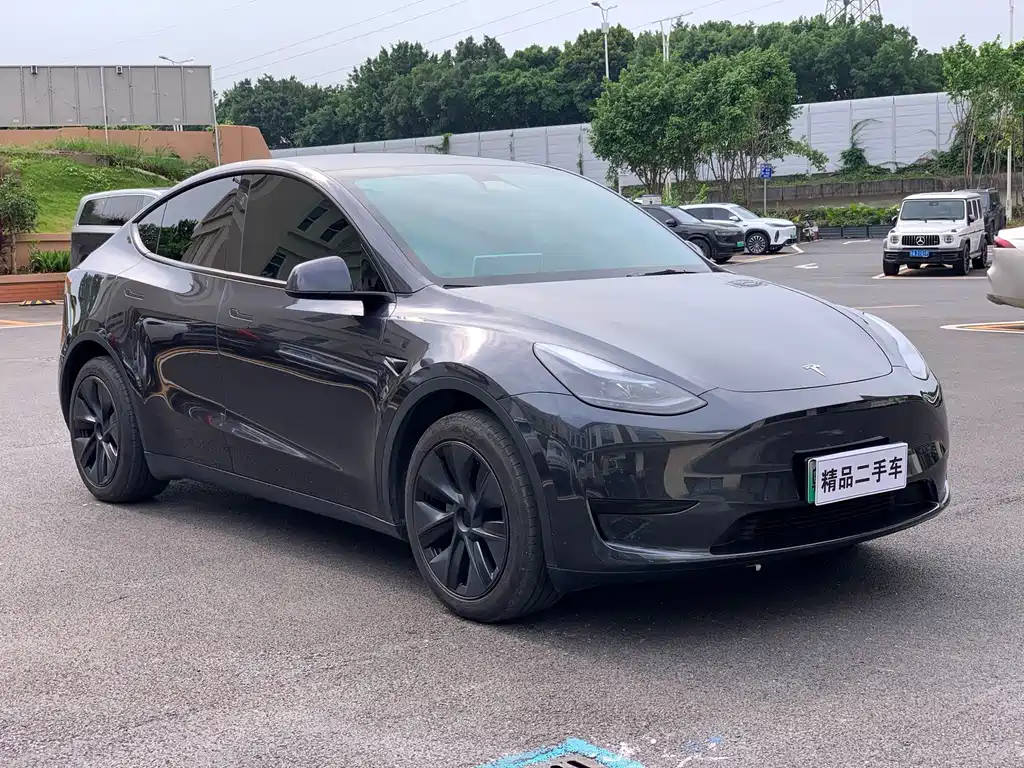 Tesla Model Y — фото 3