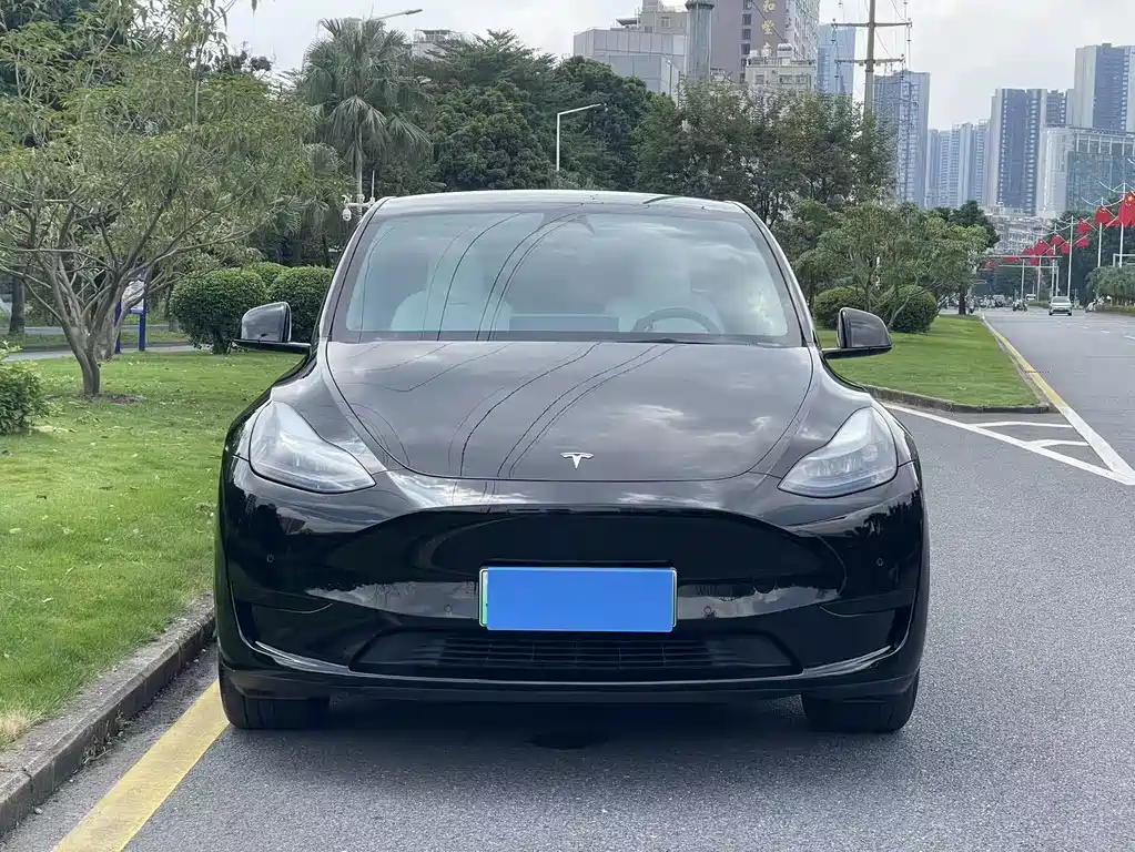 Tesla Model Y — фото 2