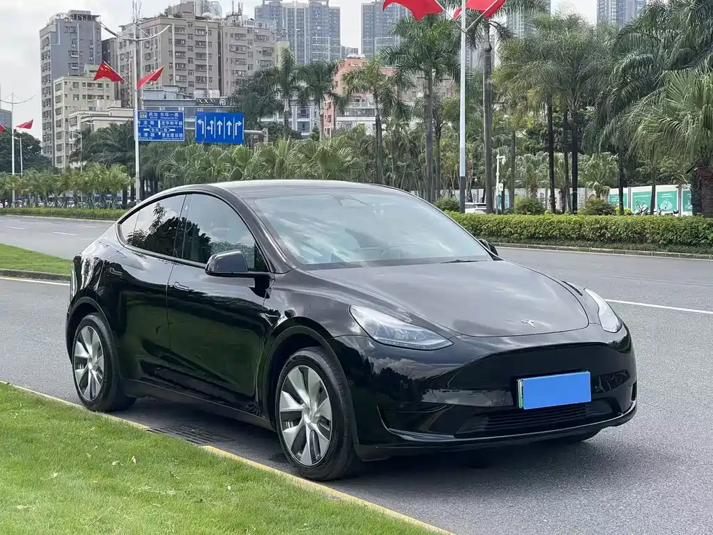 Tesla Model Y — фото 3