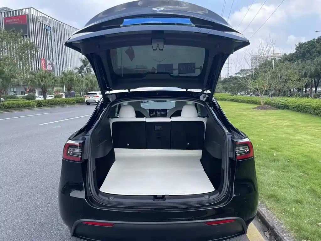 Tesla Model Y — фото 8