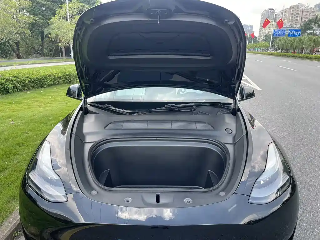 Tesla Model Y — фото 9