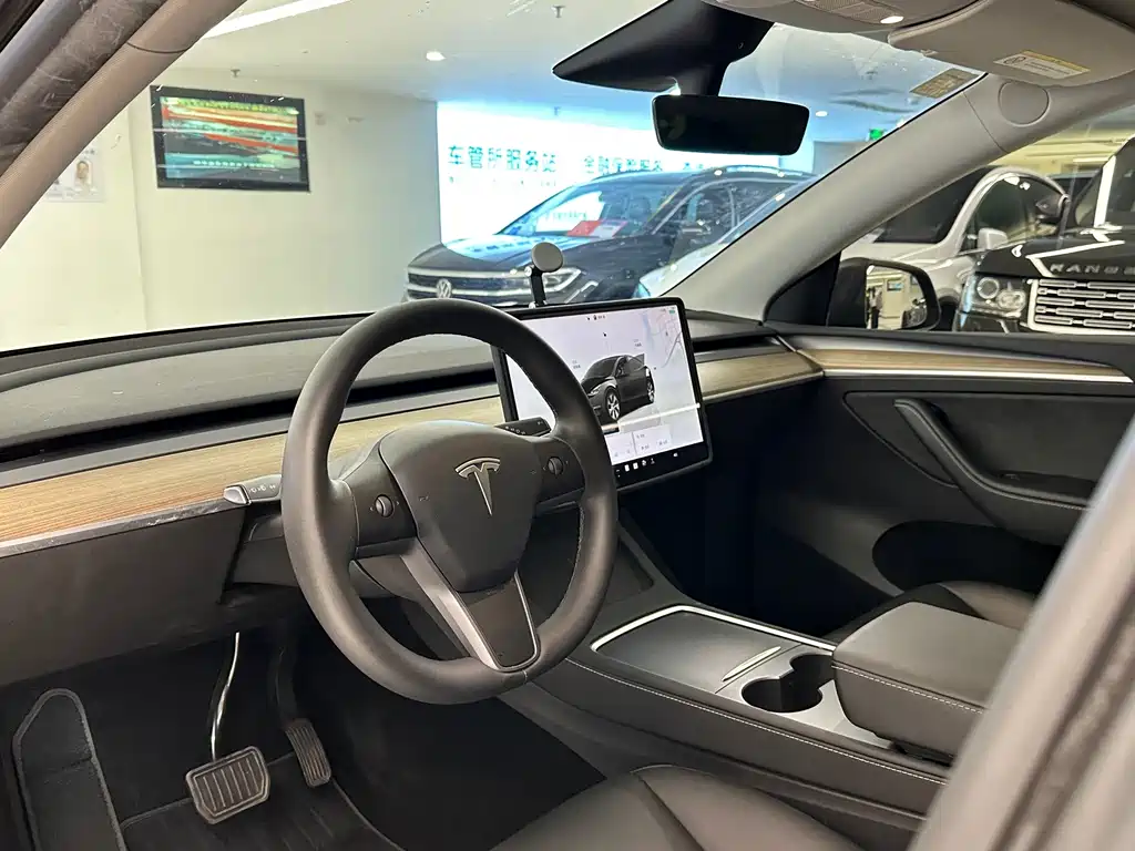 Tesla Model Y — фото 10
