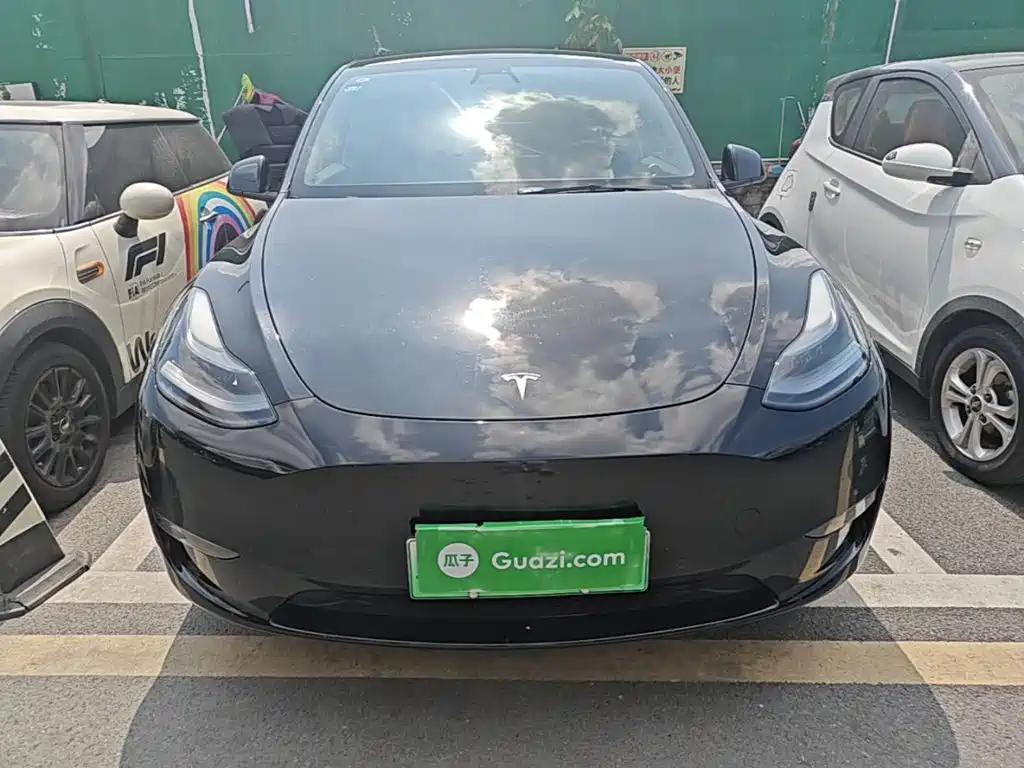 Tesla Model Y — фото 3