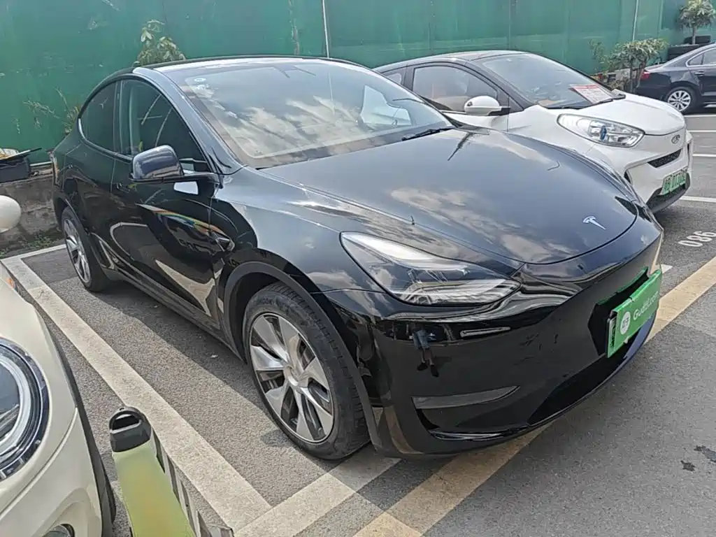 Tesla Model Y — фото 22