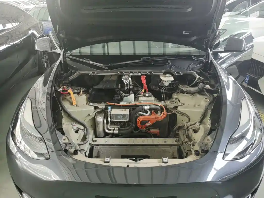 Tesla Model Y — фото 15