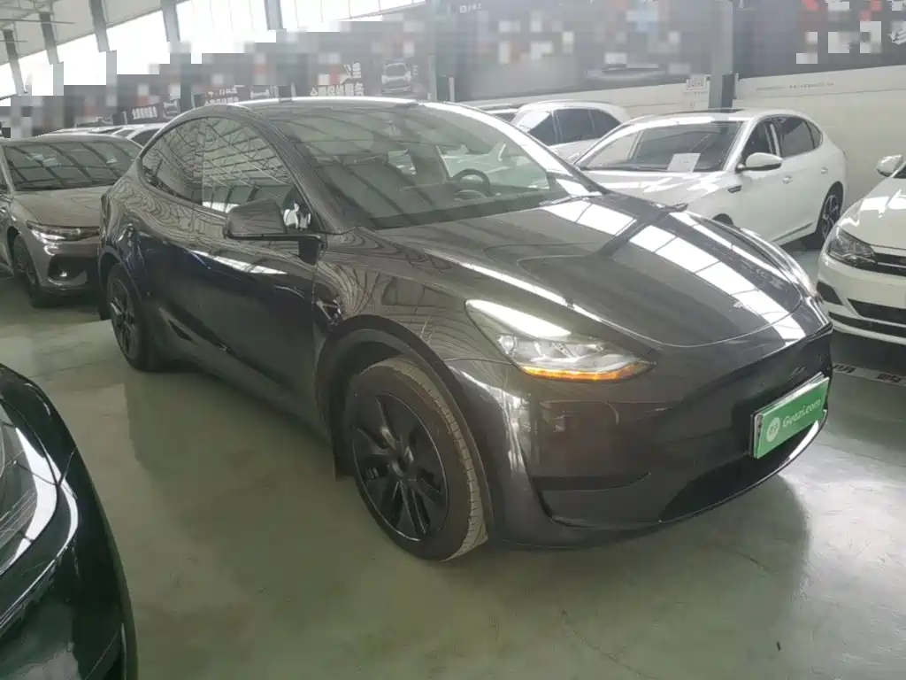 Tesla Model Y — фото 21