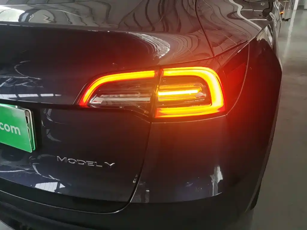 Tesla Model Y — фото 23