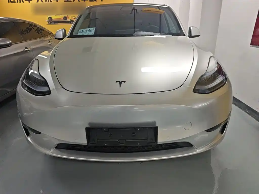 Tesla Model Y — фото 3