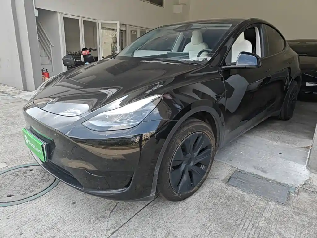 Tesla Model Y — фото 2