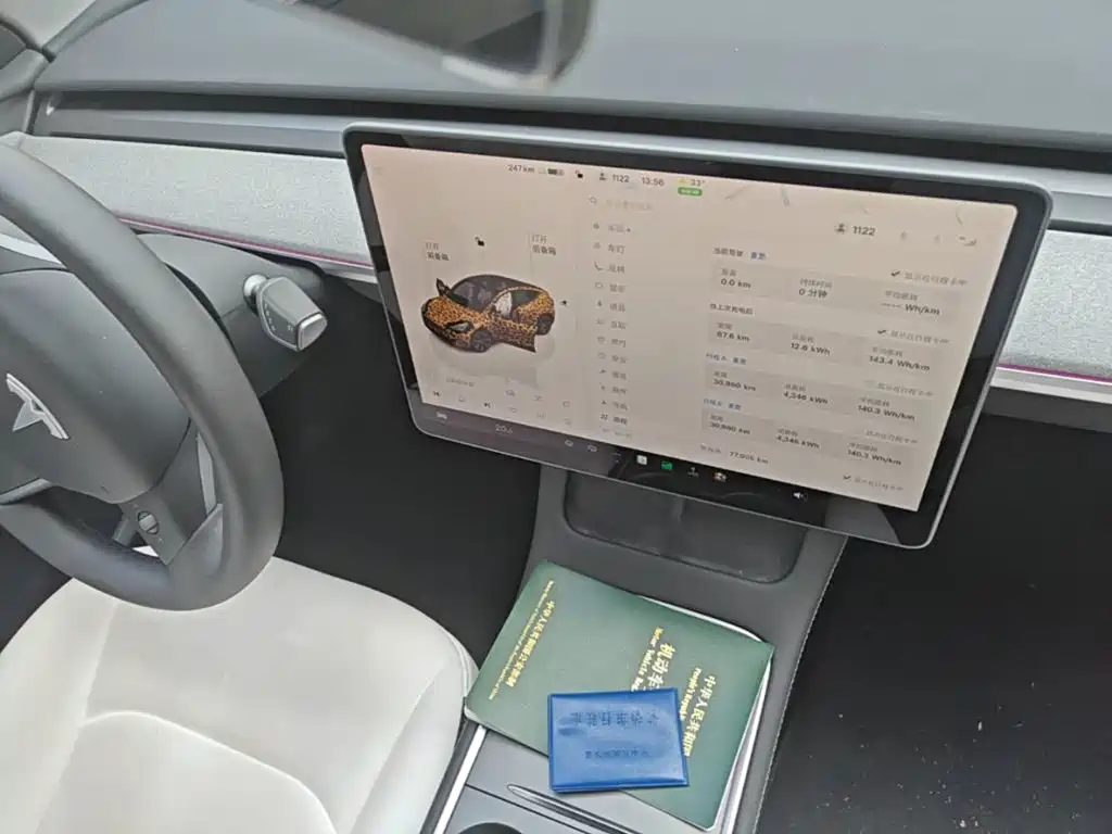 Tesla Model Y — фото 13