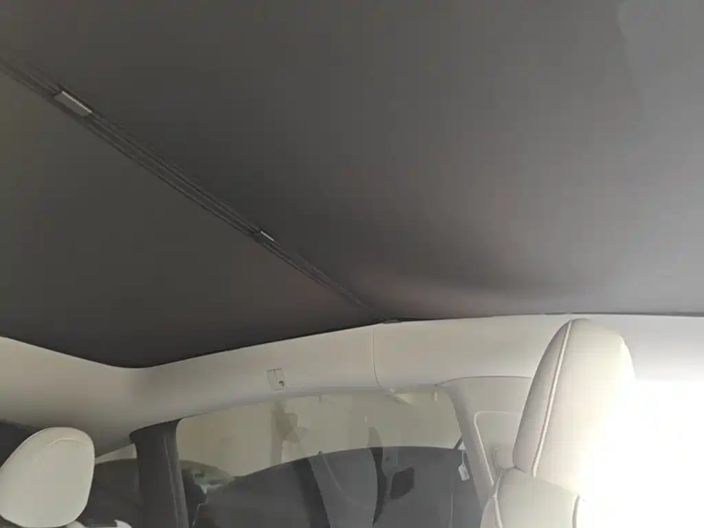 Tesla Model Y — фото 18