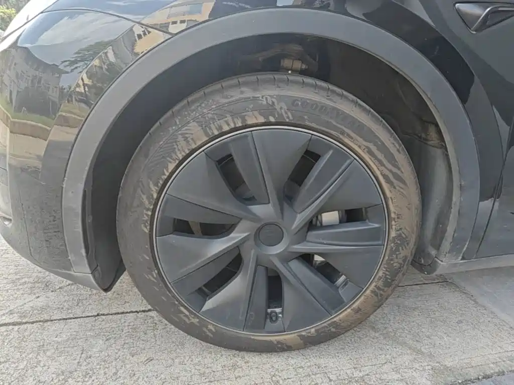 Tesla Model Y — фото 23
