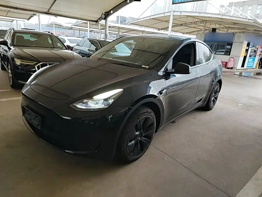 Tesla Model Y — фото 2