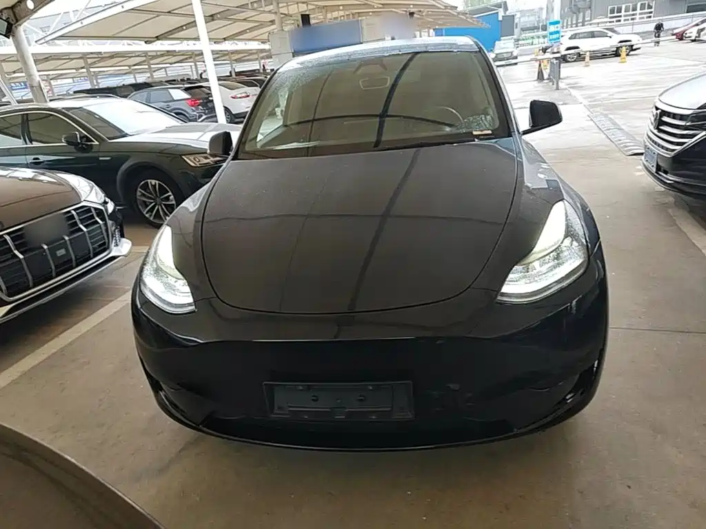 Tesla Model Y — фото 3